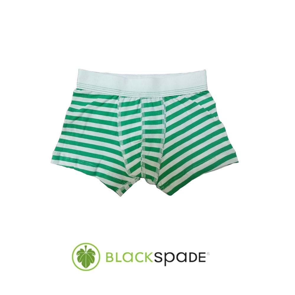 Blackspade Kampanyalı Erkek Çocuk Çizgili Pamuk Boxer - Blackspade - Çocuk İç Giyim - Yeşil - 13-14 YAŞ