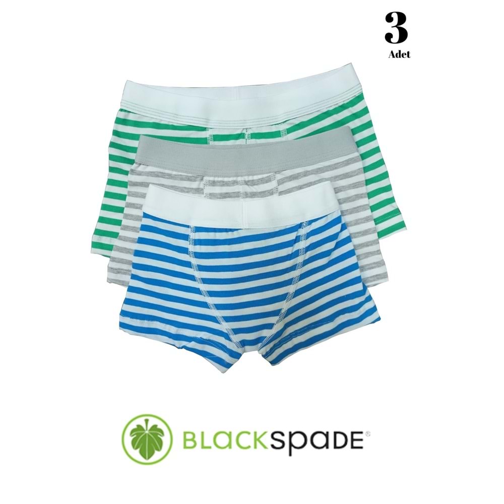 3 Adet Blackspade Kampanyalı Erkek Çocuk Çizgili Pamuk Boxer