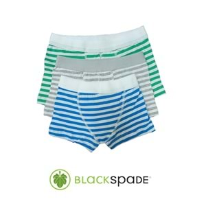 3 Adet Blackspade Kampanyalı Erkek Çocuk Çizgili Pamuk Boxer