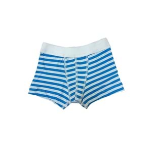 Blackspade Kampanyalı Erkek Çocuk Çizgili Pamuk Boxer - Blackspade - Çocuk İç Giyim - Mavi - 2-4 YAŞ