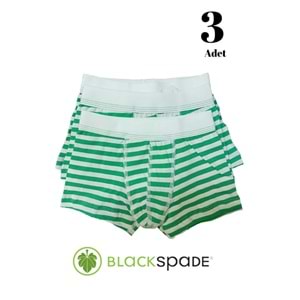 3 Adet Blackspade Kampanyalı Erkek Çocuk Çizgili Pamuk Boxer - Yeşil - 13-14 YAŞ