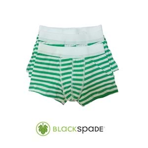 3 Adet Blackspade Kampanyalı Erkek Çocuk Çizgili Pamuk Boxer - Yeşil - 13-14 YAŞ